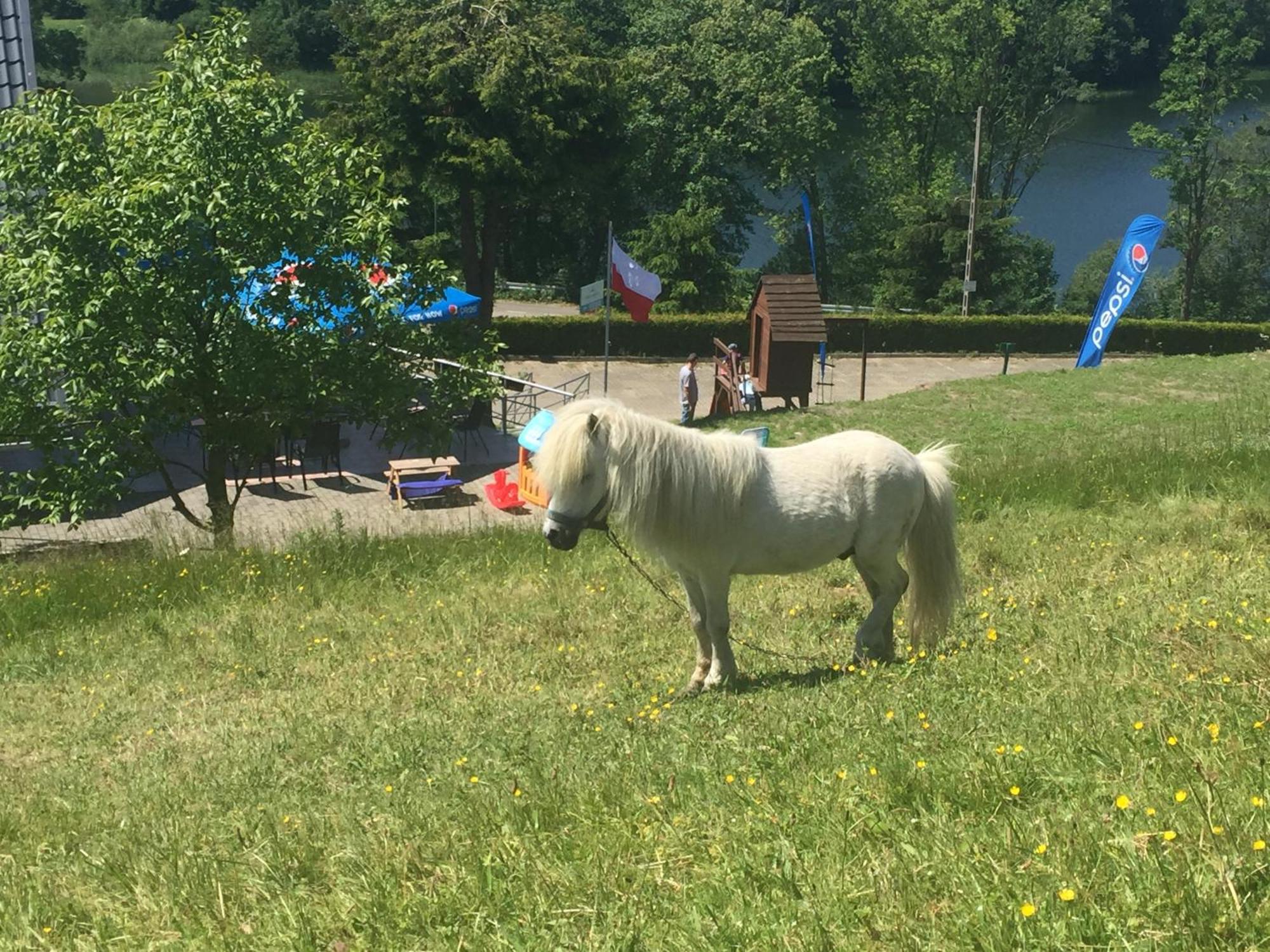 Modra Sobotka Hotel Reboszewo Bagian luar foto